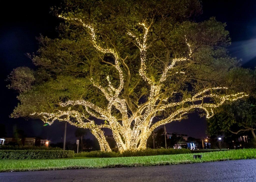 Permanent Lighting Installation